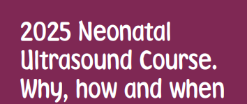2025 Neonatal Ultrasound Course. Why, how and when an ultrasound image?